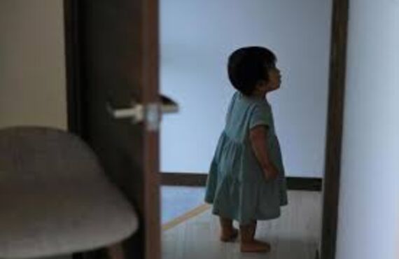 家の留守番、いたします！